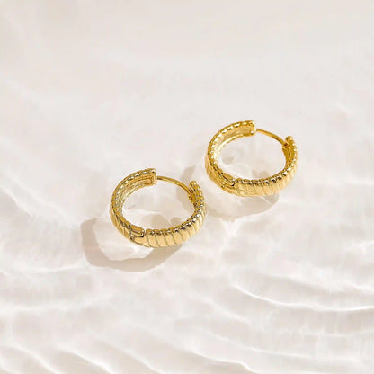 Golden Hoop Earrings