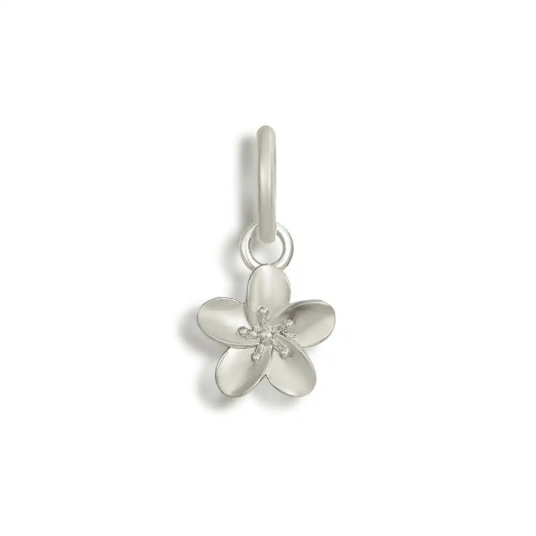 Charms