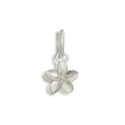 Charms